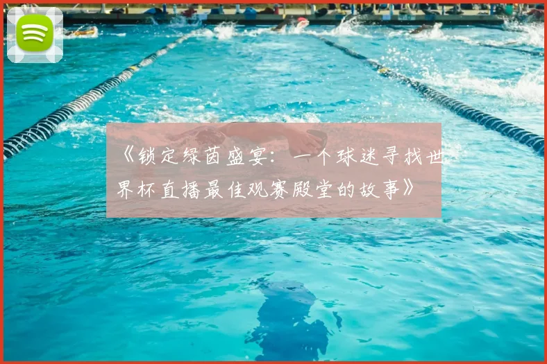 《锁定绿茵盛宴：一个球迷寻找世界杯直播最佳观赛殿堂的故事》