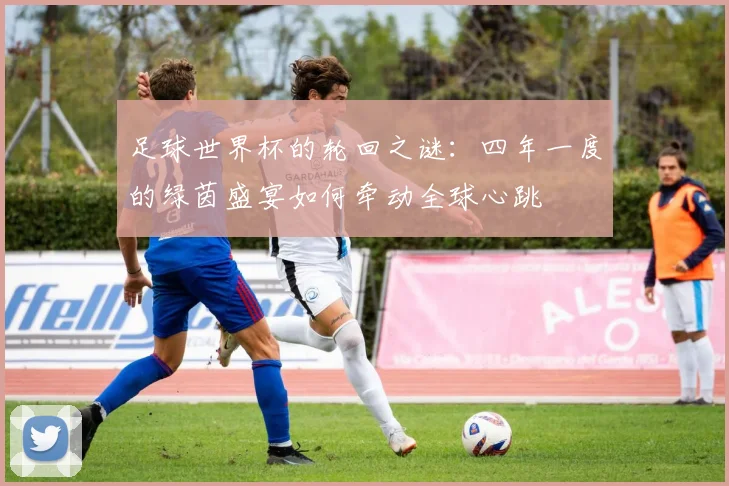 足球世界杯的轮回之谜：四年一度的绿茵盛宴如何牵动全球心跳